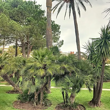 Appartement Belles Prestations, Proche Plages, Piscine 232l Py