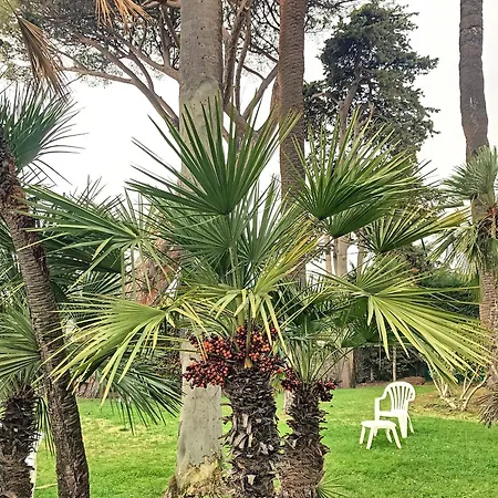 Belles Prestations, Proche Plages, Piscine 232l Py Lägenhet *